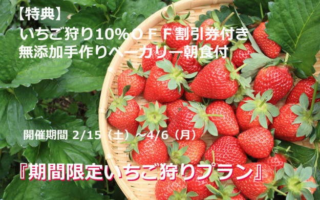 いちご狩り10 Offチケット付 いちご狩りプラン 開始 お知らせ 南紀白浜の温泉リゾートホテル アレーズド バレshirahama いちご狩り10 Offチケット付 いちご狩りプラン 開始 お知らせ 南紀白浜の温泉リゾートホテル アレーズド バレshirahama